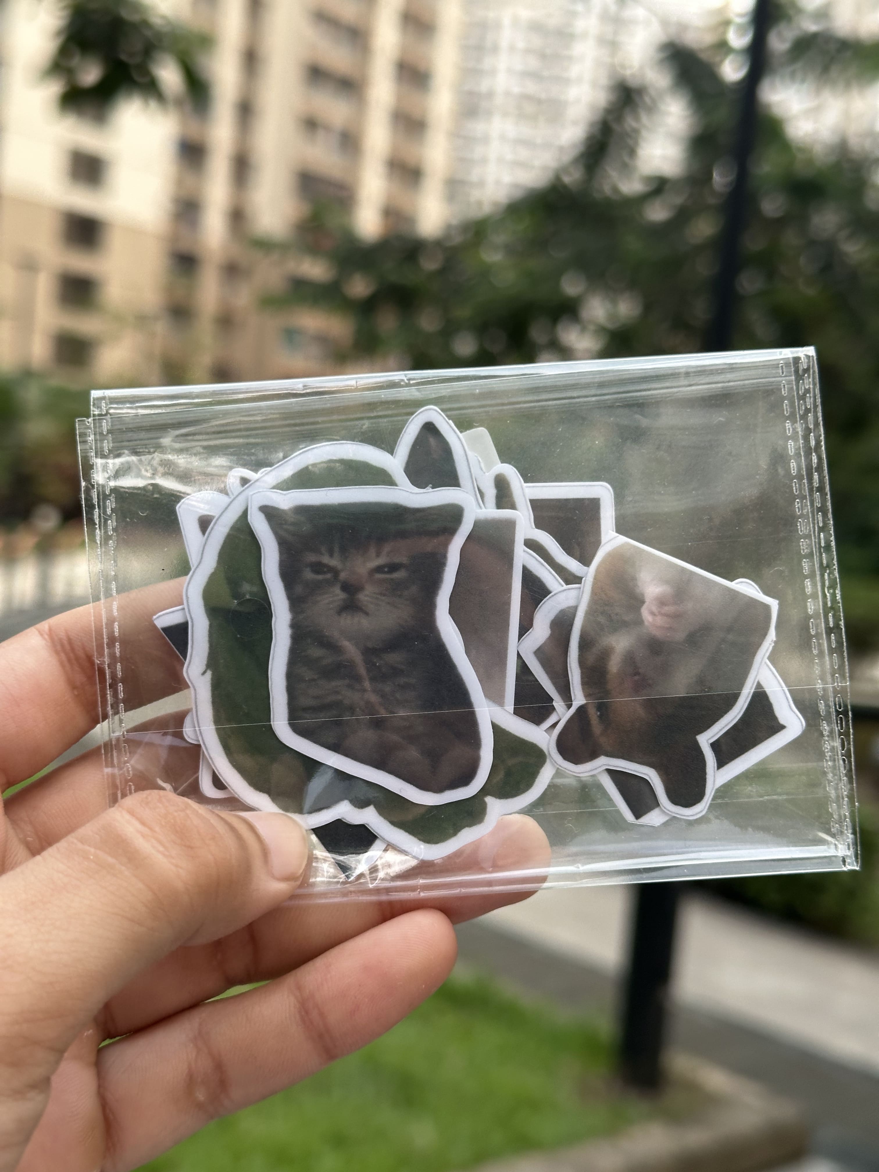 Cat Meme Stickers Pack [11 Stickers]