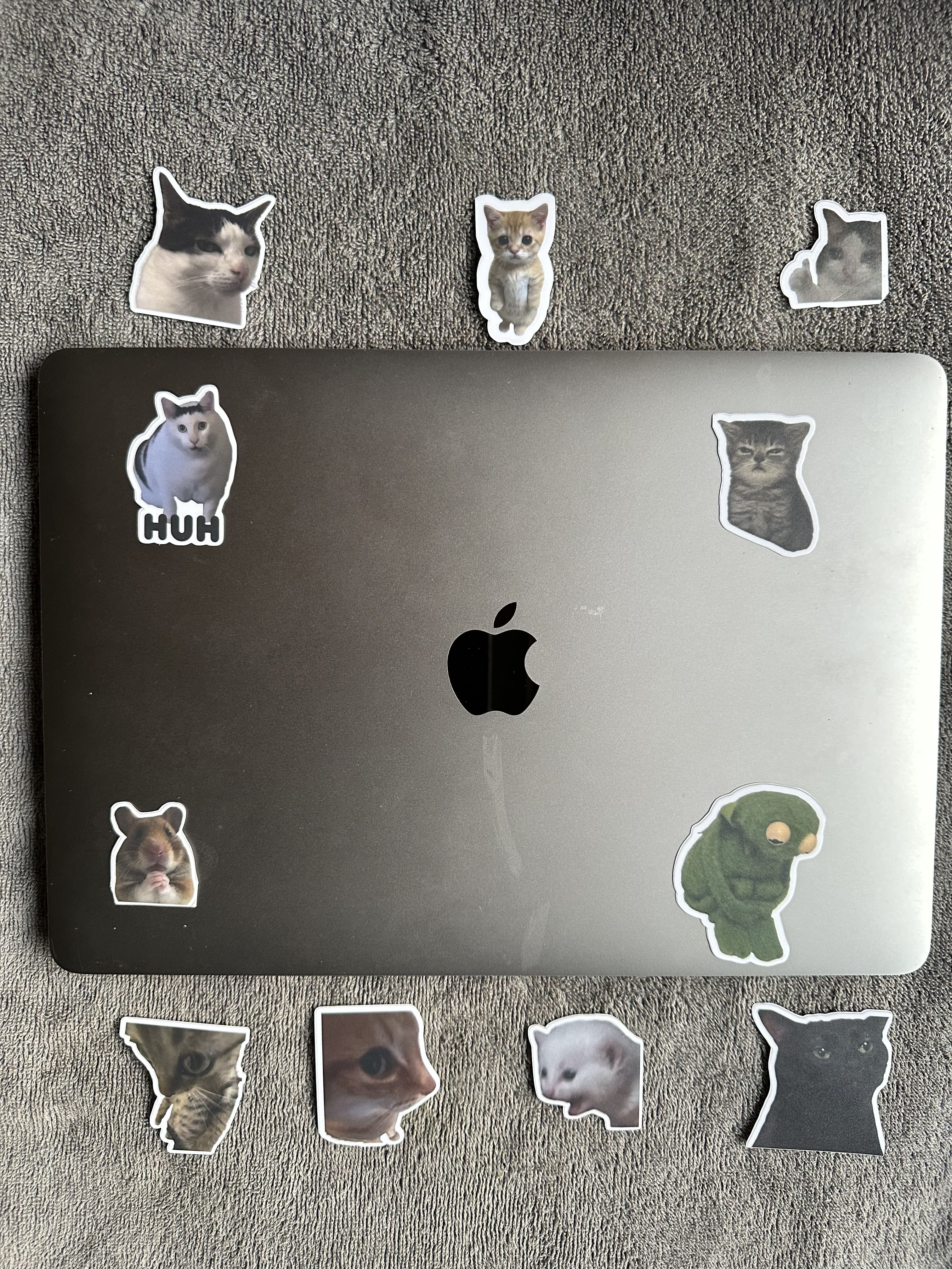 Cat Meme Stickers Pack [11 Stickers]