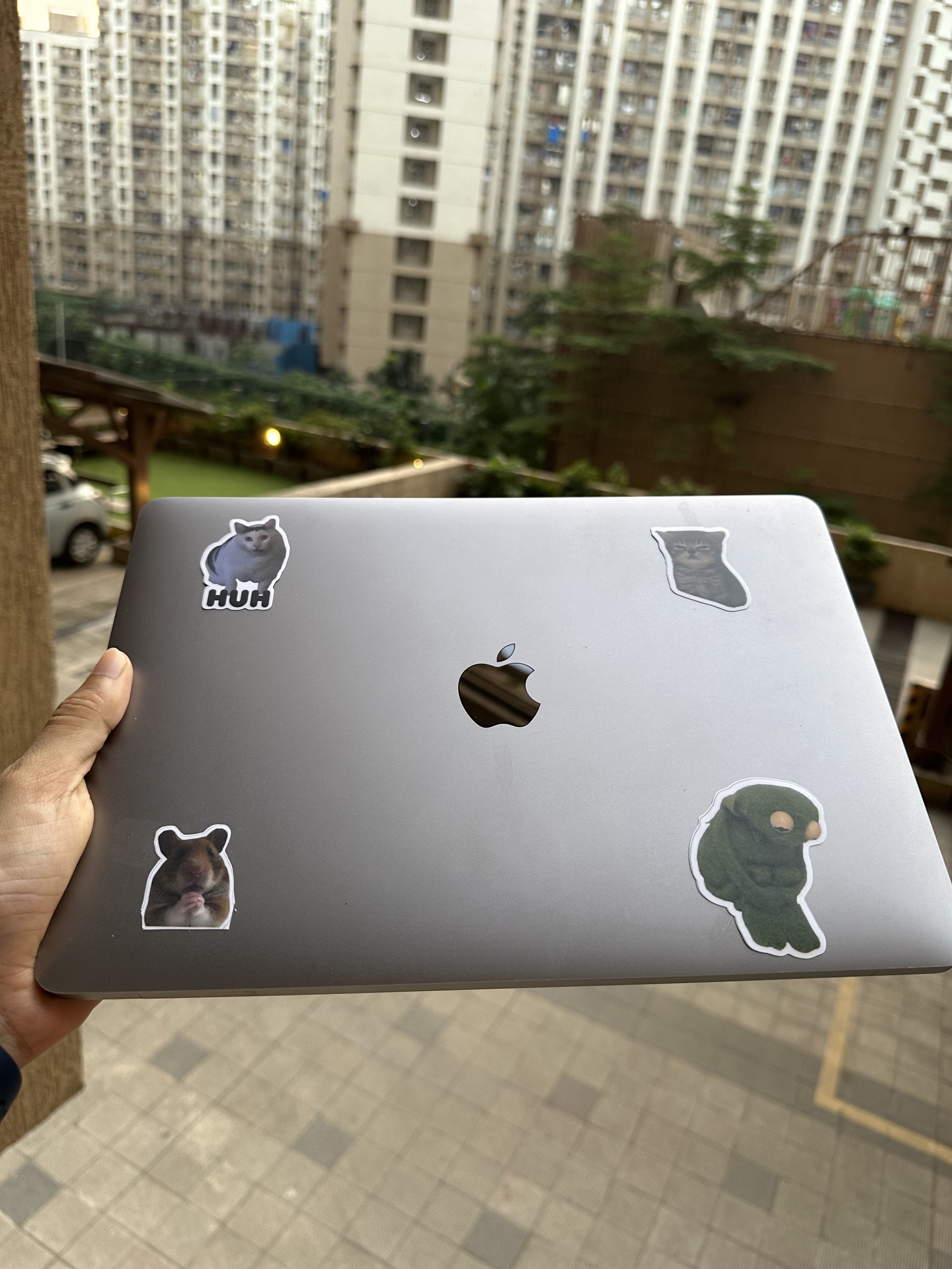 Cat Meme Stickers Pack [11 Stickers]